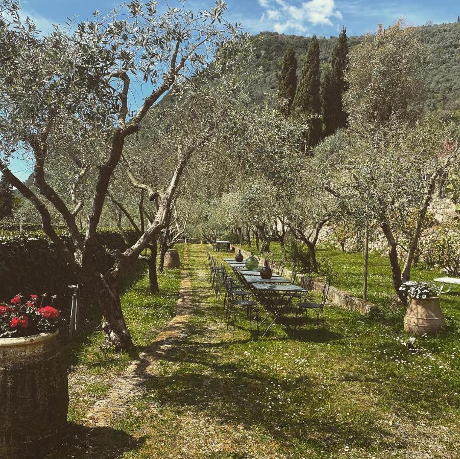 Sotto Il Cielo Di Toscana Appartamenti In Tenuta Only Adults No Pet 卡麦奥雷 外观 照片