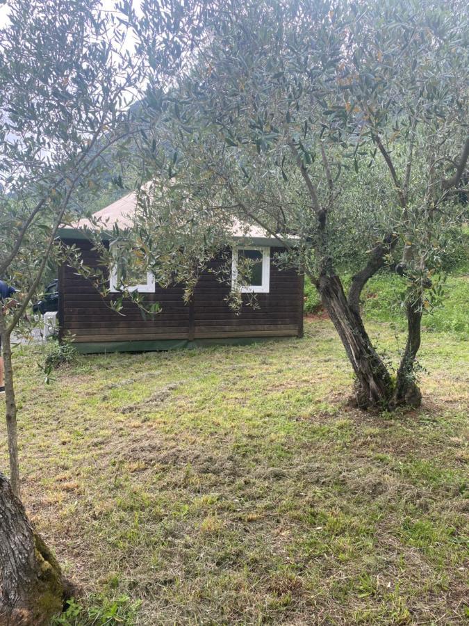 Sotto Il Cielo Di Toscana Appartamenti In Tenuta Only Adults No Pet 卡麦奥雷 外观 照片