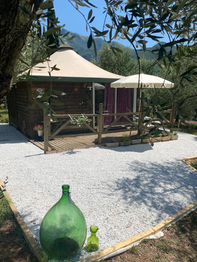 Sotto Il Cielo Di Toscana Appartamenti In Tenuta Only Adults No Pet 卡麦奥雷 外观 照片
