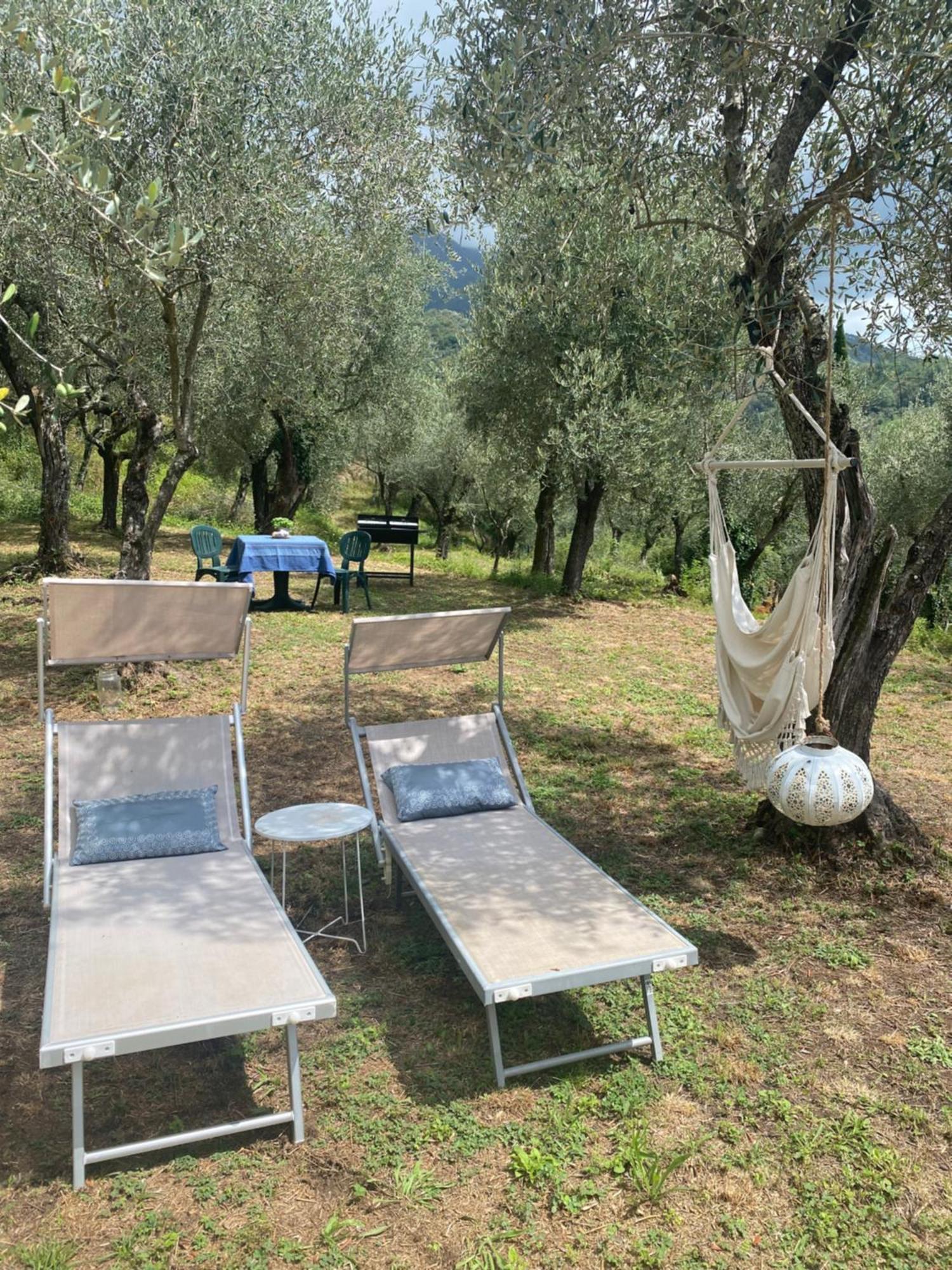 Sotto Il Cielo Di Toscana Appartamenti In Tenuta Only Adults No Pet 卡麦奥雷 外观 照片